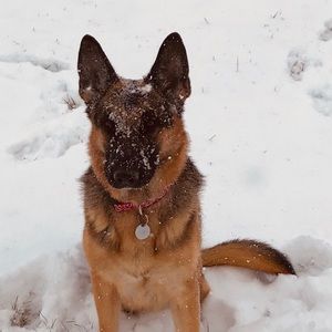 Meet your Posher, Katherine